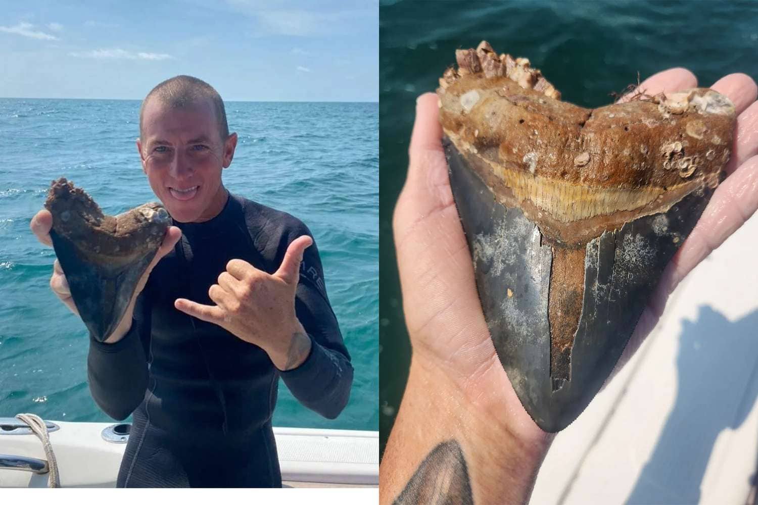 Florida Family Discovers Massive Megalodon Tooth on Beach Vacation