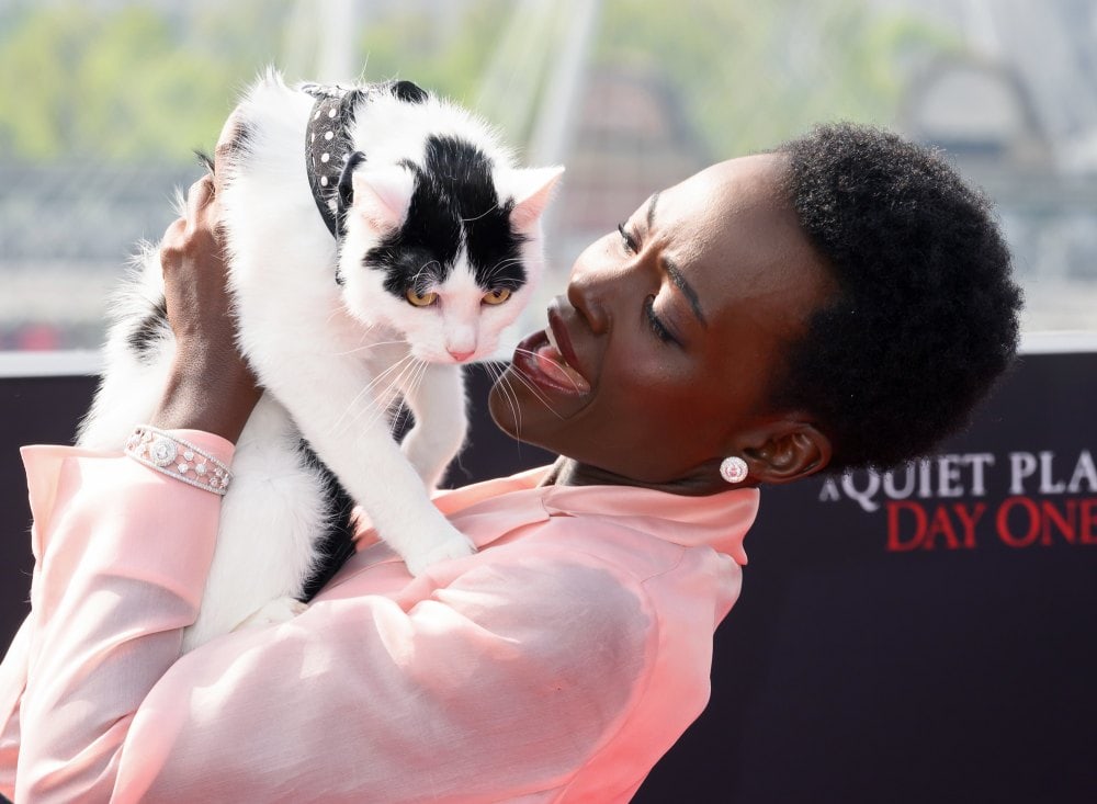 Lupita Nyong&#8217;o&#8217;s Unique Preparation for A Quiet Place Day One Cat Therapy