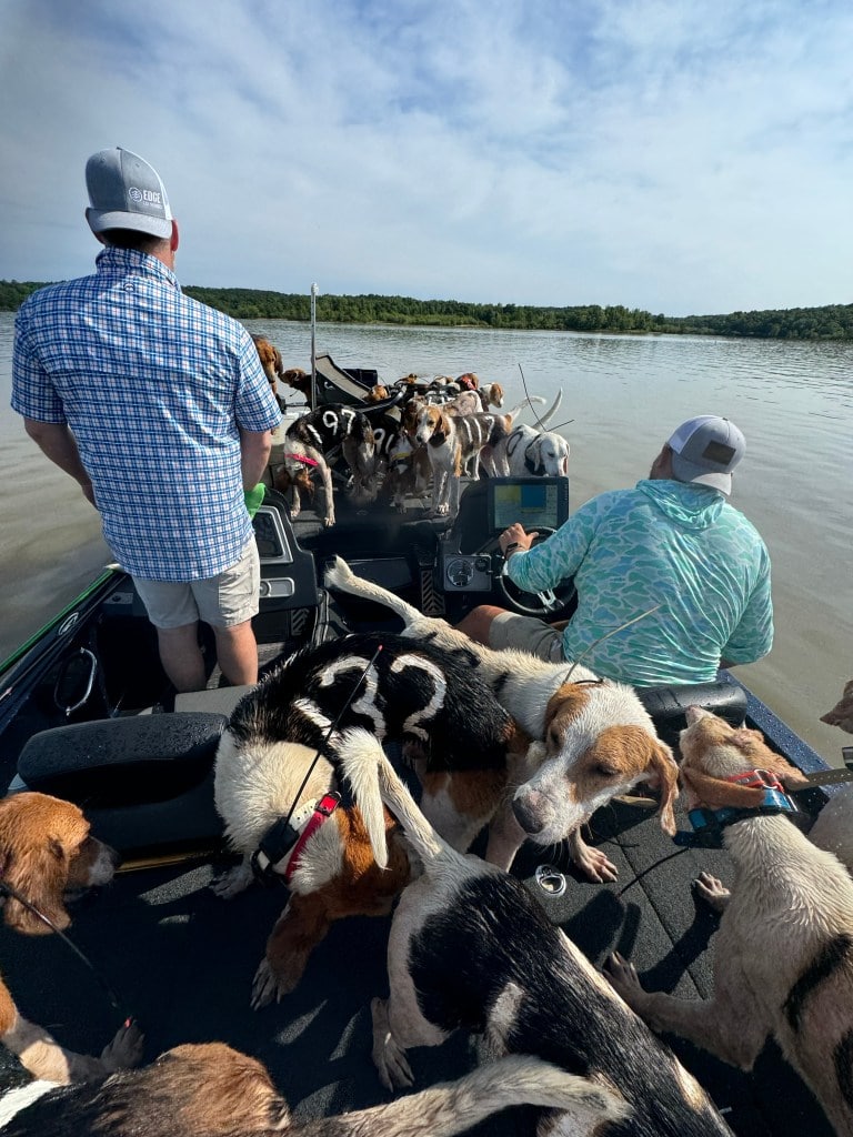 Mississippi Fishermen Rescue 38 Hunting Dogs from Drowning at Grenada Lake