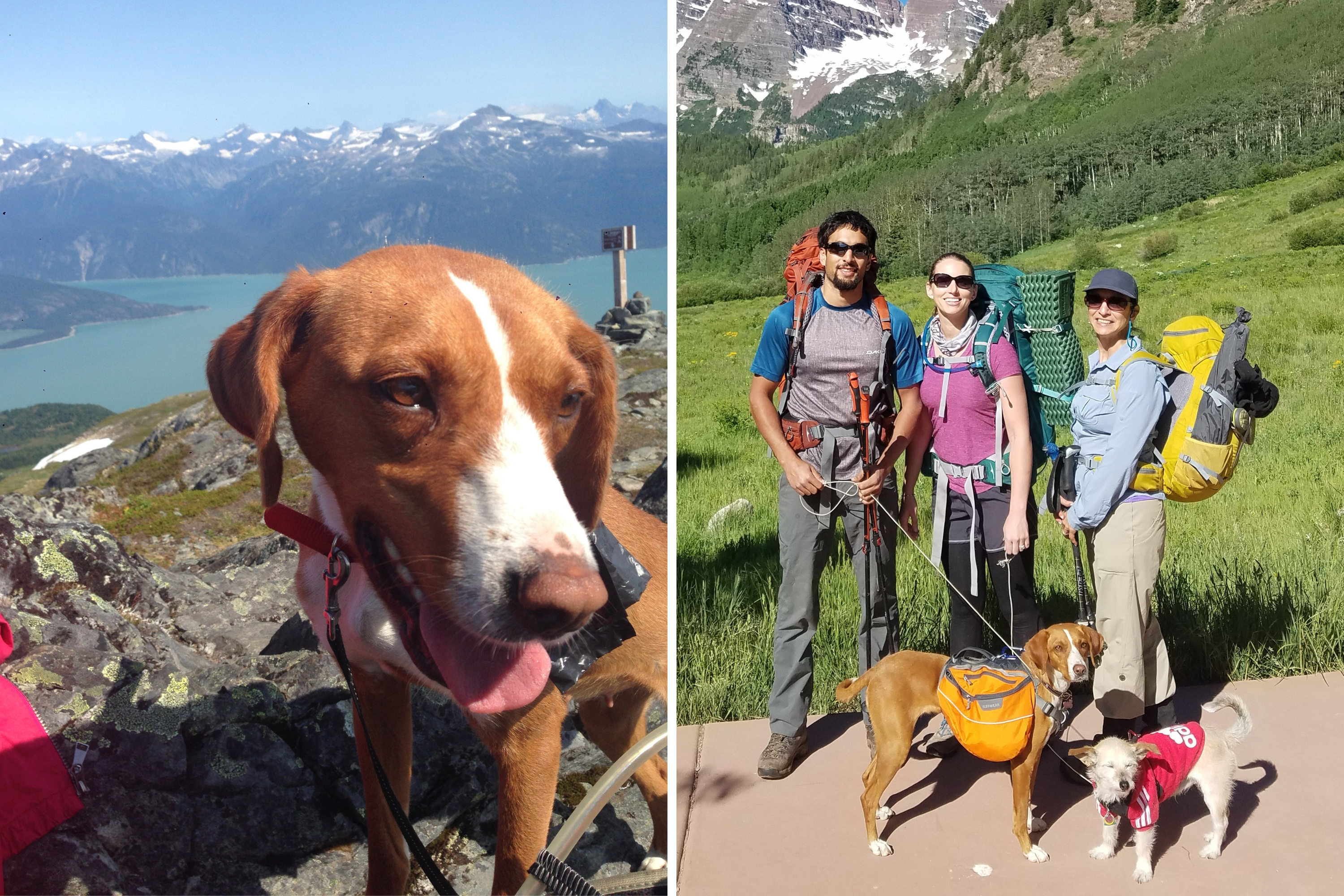 Colorado Couple&#8217;s Hiking Adventure Leads to Heartwarming Dog Rescue