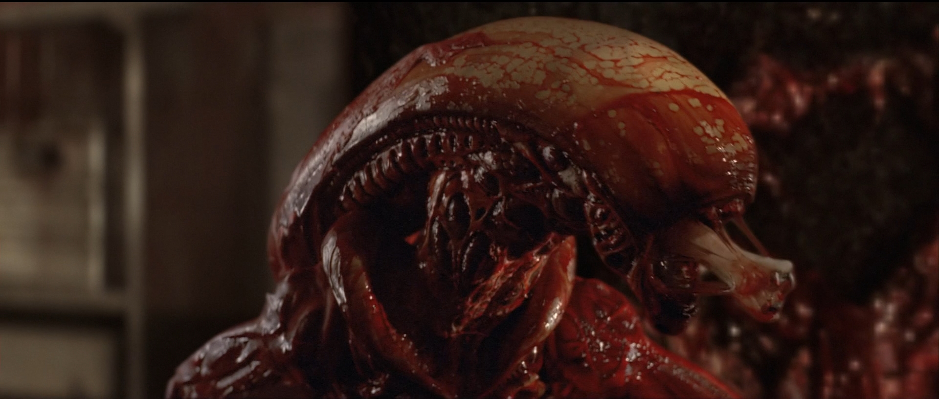 Alien Romulus Embraces Retro with VHS-Exclusive Scene - TVovermind