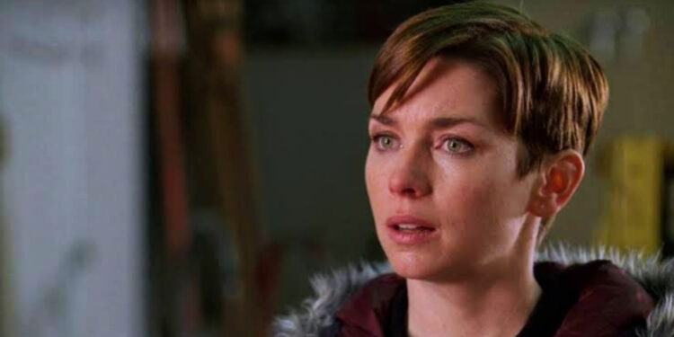 Julianne Nicholson in Law & Order: Criminal Intent