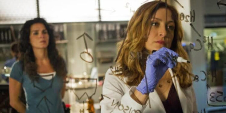 Sasha Alexander in Rizzoli & Isles