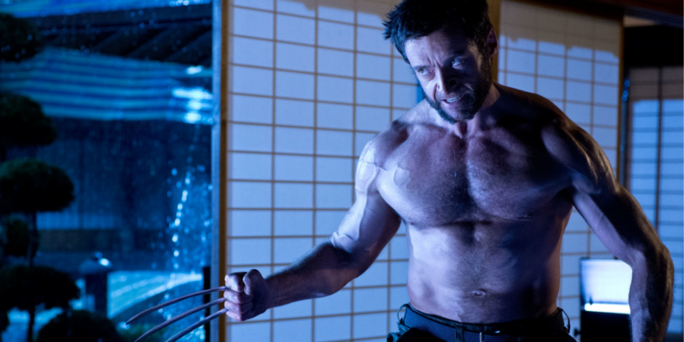 The Wolverine (2013)