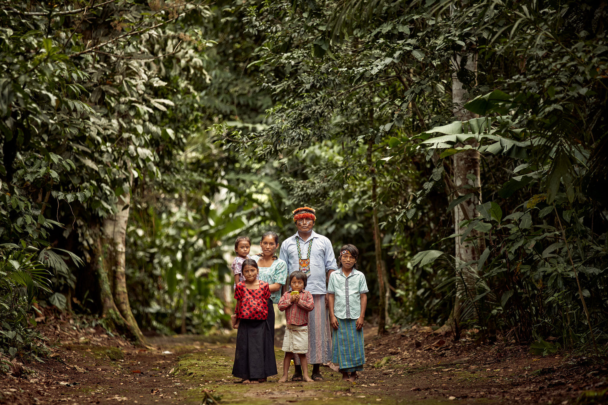 Brown family in Amazon rainforest Paddington Bear Embarks on a New Adventure in Peru Coming January 2025