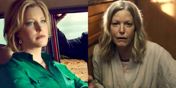 Breaking Bad Skyler White – Anna Gunn