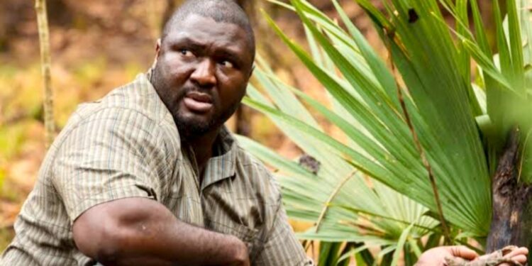 Nonso Anozie in Zoo