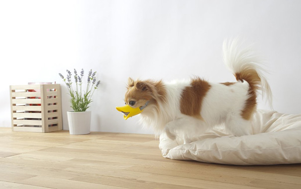 Quack: A Duck-Billed Protective Muzzle For Dogs