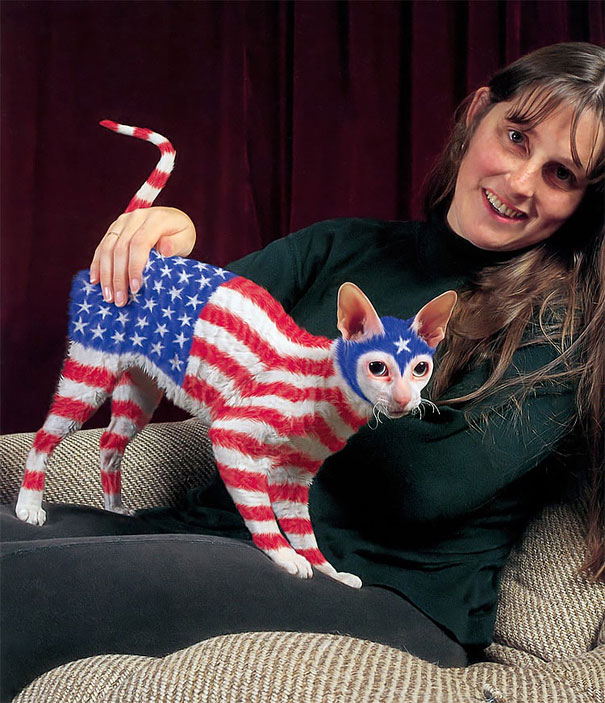 Controversial Pictures of Painted Cats