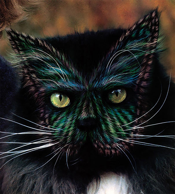 Controversial Pictures of Painted Cats