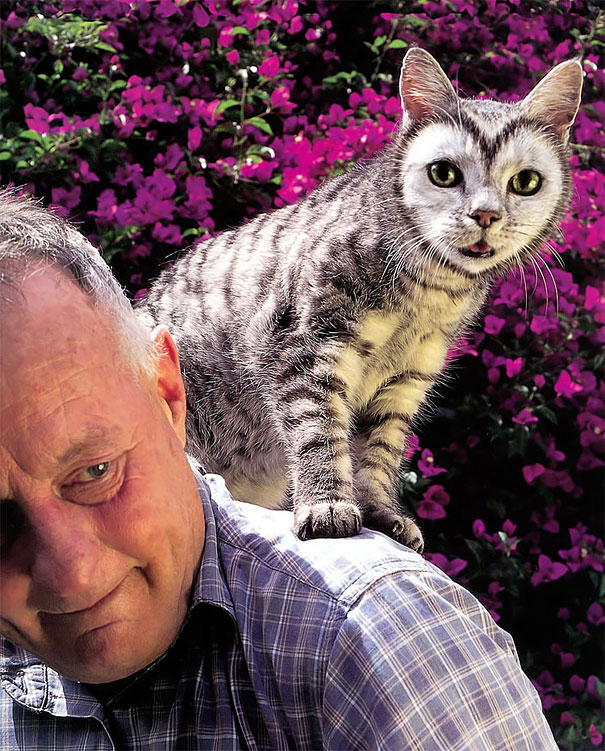 Controversial Pictures of Painted Cats