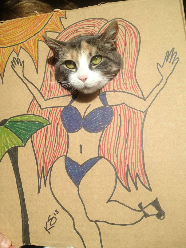 Cats Photographed in Cardboard Costumes