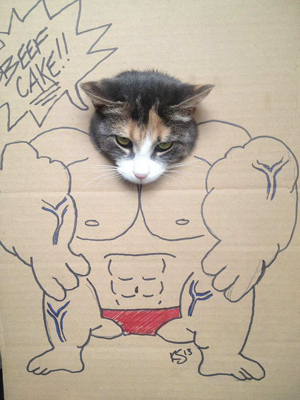 Cats Photographed in Cardboard Costumes