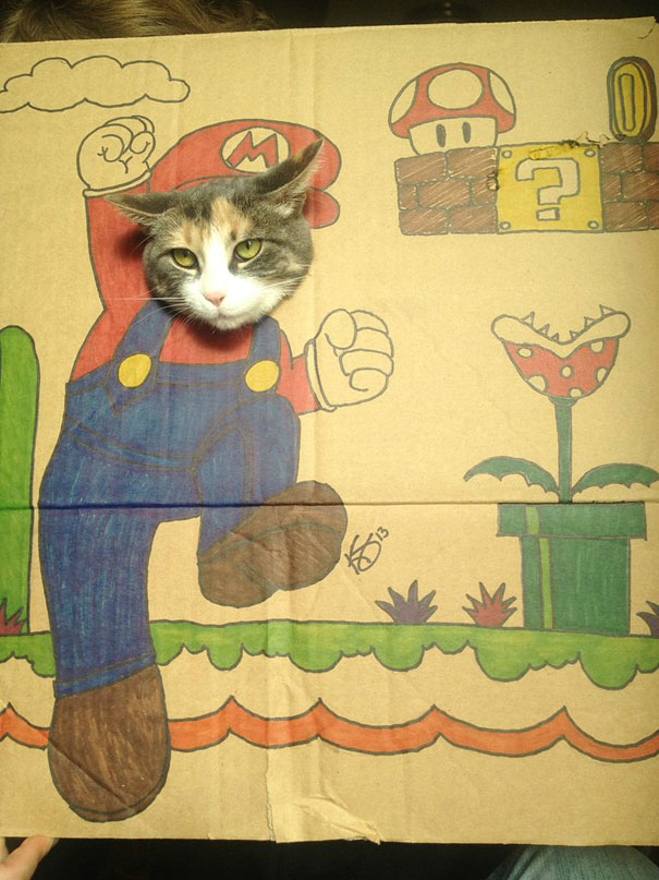 Cats Photographed in Cardboard Costumes