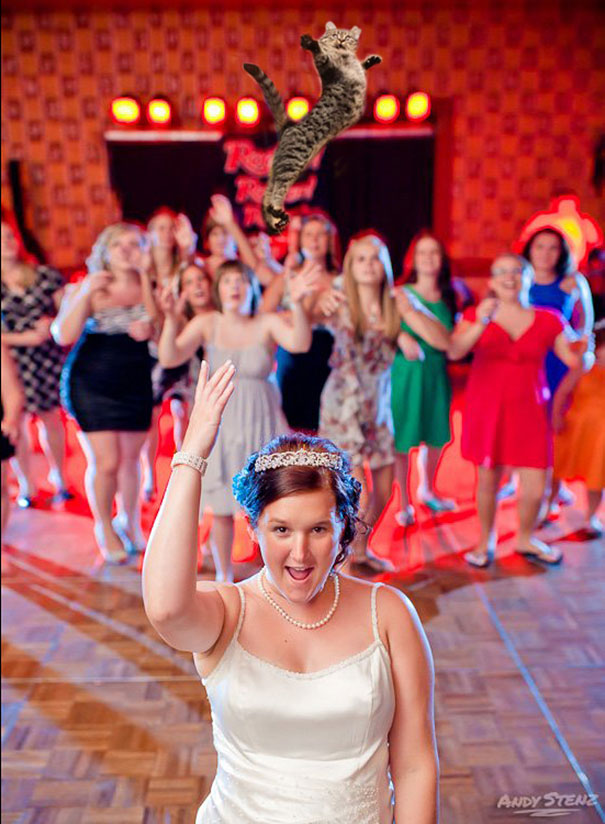 Bride&#8217;s Bouquets Replaced By Flying Cats In The Latest Wedding Photography Trend