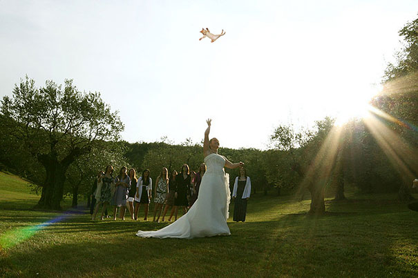 Bride&#8217;s Bouquets Replaced By Flying Cats In The Latest Wedding Photography Trend