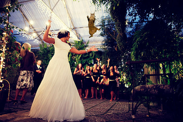 Bride&#8217;s Bouquets Replaced By Flying Cats In The Latest Wedding Photography Trend