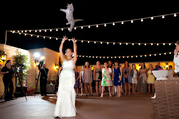 Bride&#8217;s Bouquets Replaced By Flying Cats In The Latest Wedding Photography Trend