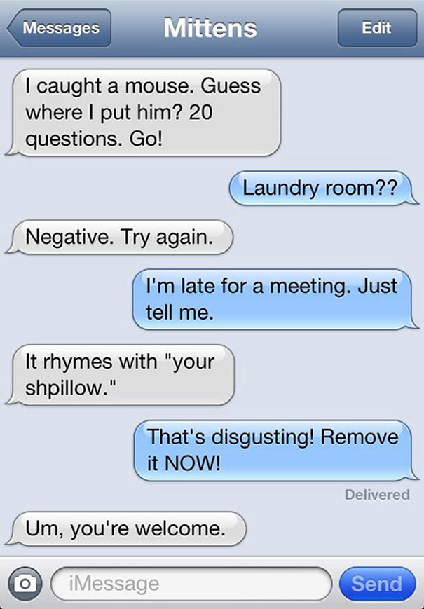Texts From Mittens: What If Cats Could Text?