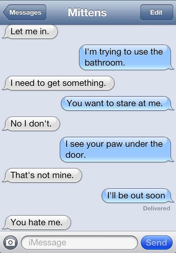 Texts From Mittens: What If Cats Could Text?