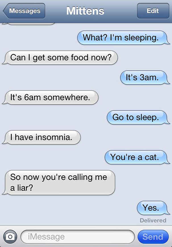 Texts From Mittens: What If Cats Could Text?