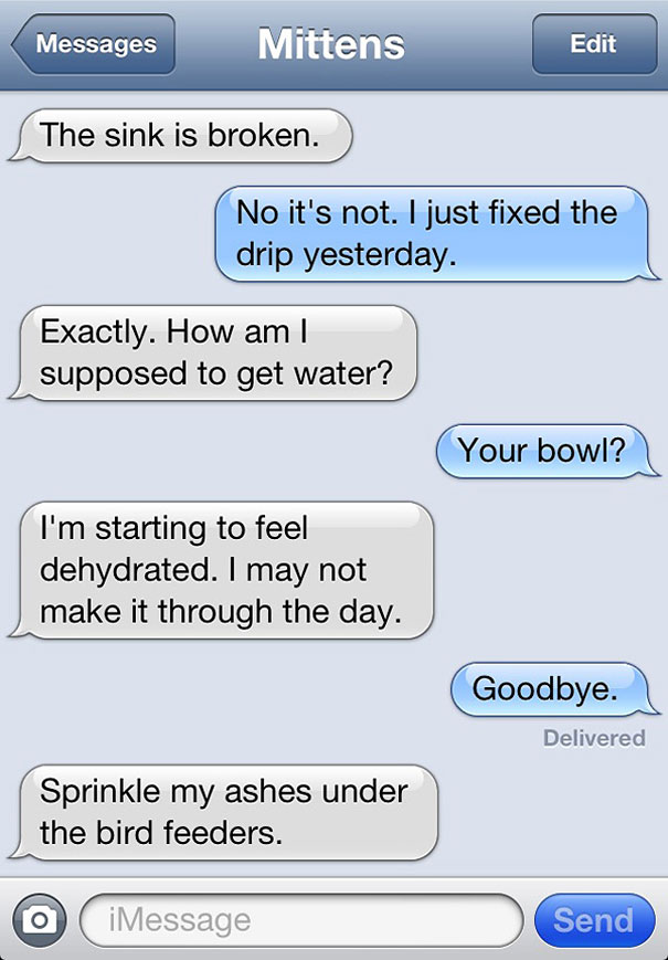 Texts From Mittens: What If Cats Could Text?