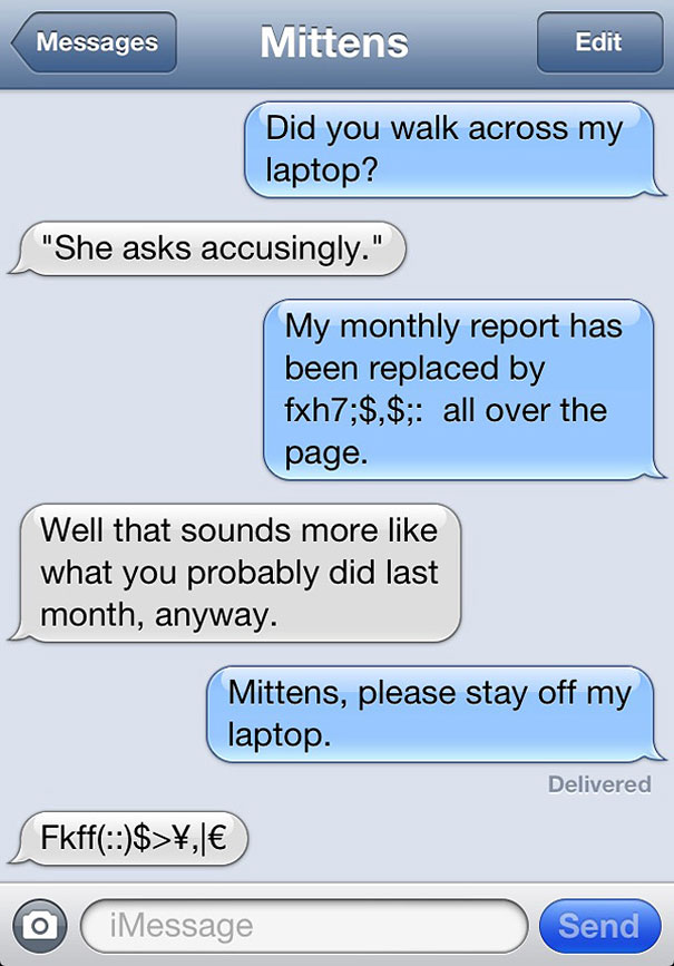 Texts From Mittens: What If Cats Could Text?