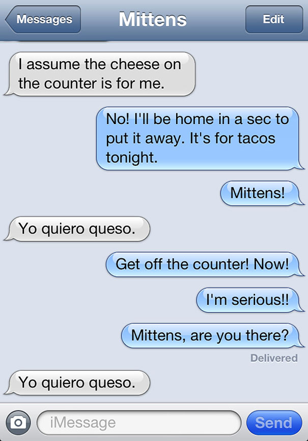 Texts From Mittens: What If Cats Could Text?