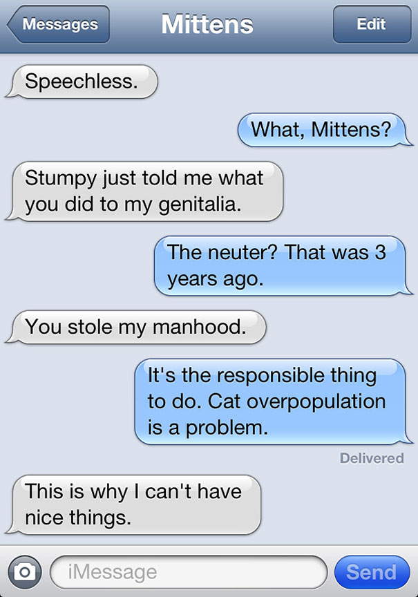 Texts From Mittens: What If Cats Could Text?