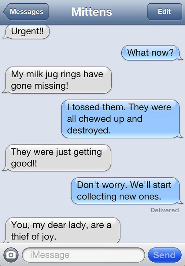 Texts From Mittens: What If Cats Could Text?