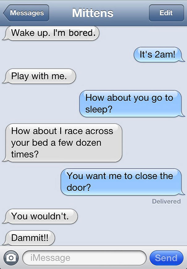 Texts From Mittens: What If Cats Could Text?