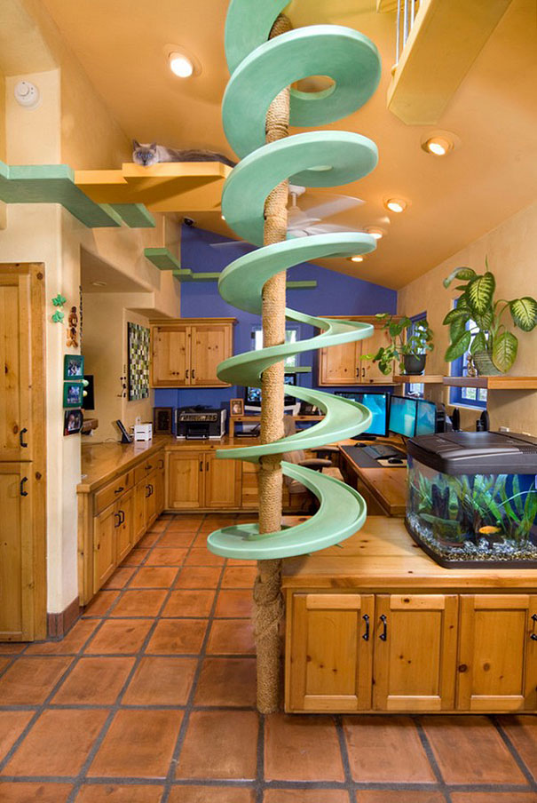 Man With 18 Cats Spends $35,000 On Turning His Home Into A Cat Paradise