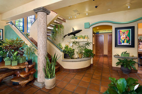 Man With 18 Cats Spends $35,000 On Turning His Home Into A Cat Paradise