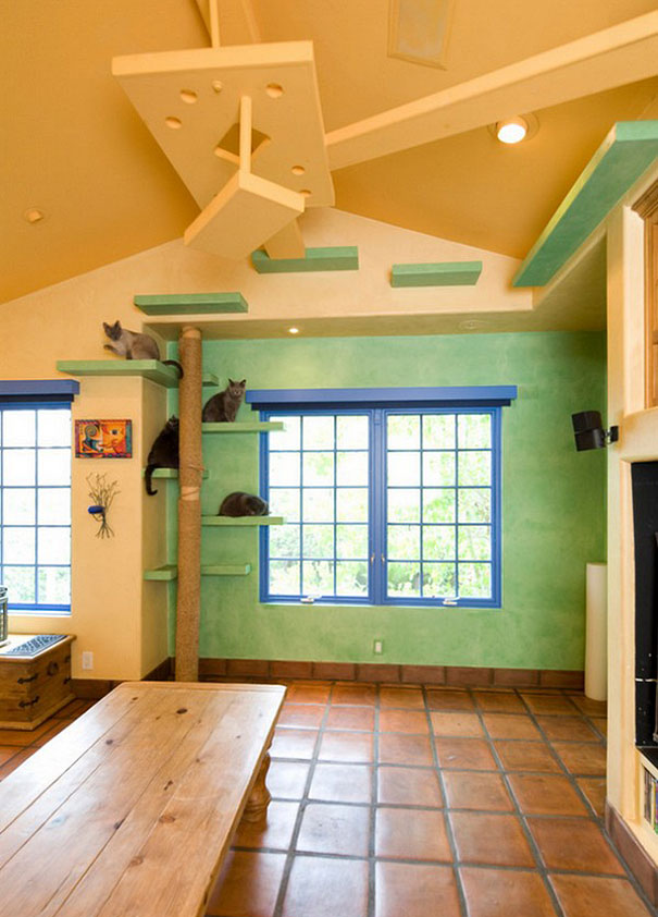 Man With 18 Cats Spends $35,000 On Turning His Home Into A Cat Paradise