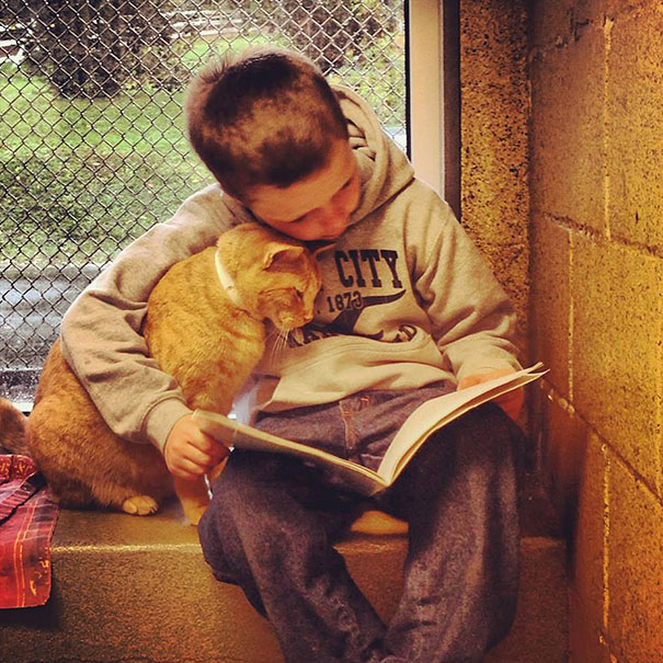 Children Read To Shelter Cats In The Heart-melting &#8220;Book Buddies&#8221; Program