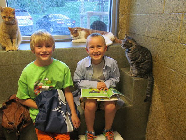 Children Read To Shelter Cats In The Heart-melting &#8220;Book Buddies&#8221; Program