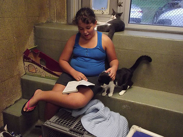 Children Read To Shelter Cats In The Heart-melting &#8220;Book Buddies&#8221; Program