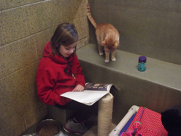 Children Read To Shelter Cats In The Heart-melting &#8220;Book Buddies&#8221; Program