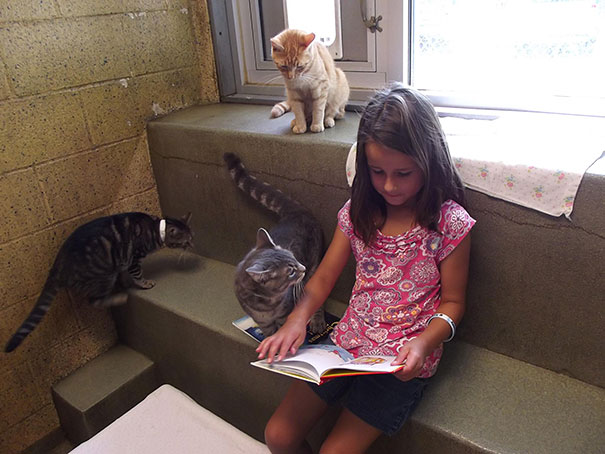 Children Read To Shelter Cats In The Heart-melting &#8220;Book Buddies&#8221; Program