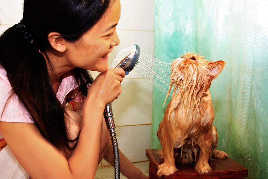 22 Hilarious Pictures Of Wet Cats