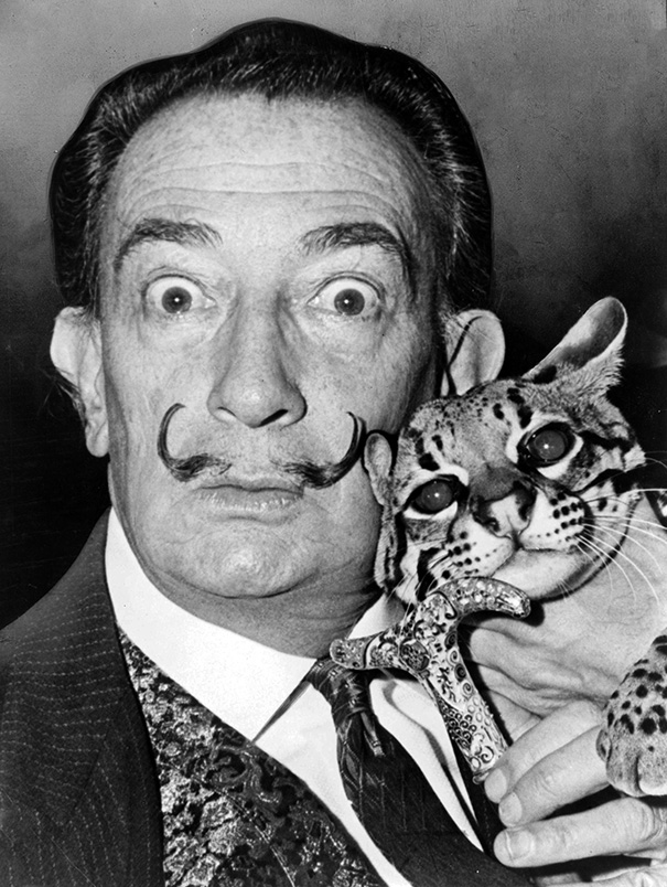 Cats And Dogs With Their Famous Humans