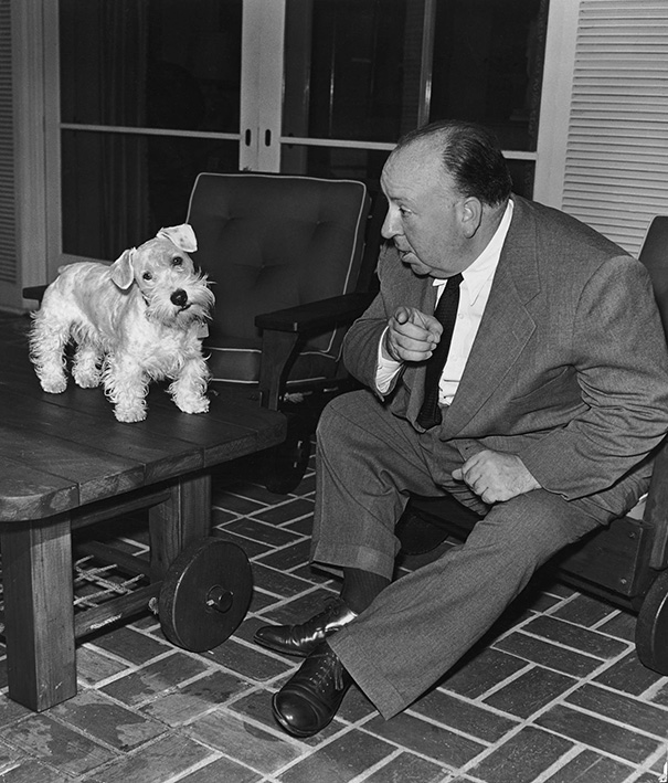Cats And Dogs With Their Famous Humans