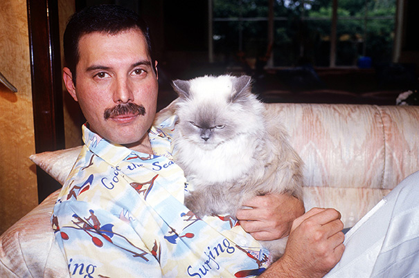 Cats And Dogs With Their Famous Humans