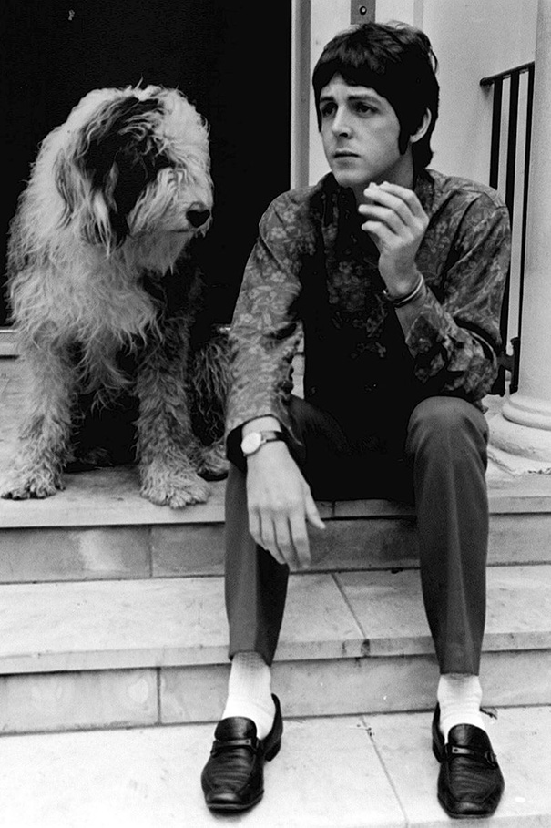 Cats And Dogs With Their Famous Humans