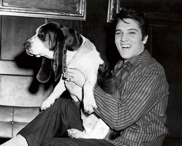 Cats And Dogs With Their Famous Humans