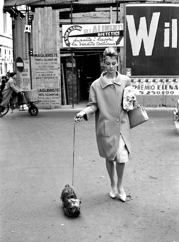 Cats And Dogs With Their Famous Humans