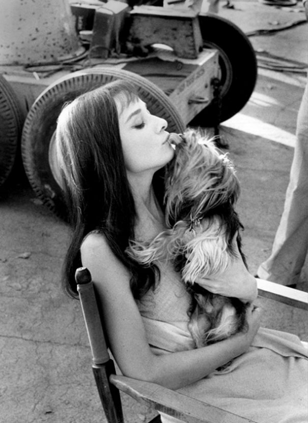 Cats And Dogs With Their Famous Humans