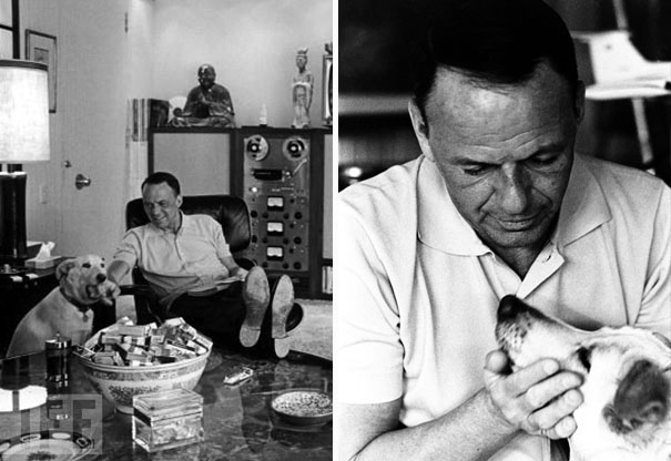 Cats And Dogs With Their Famous Humans