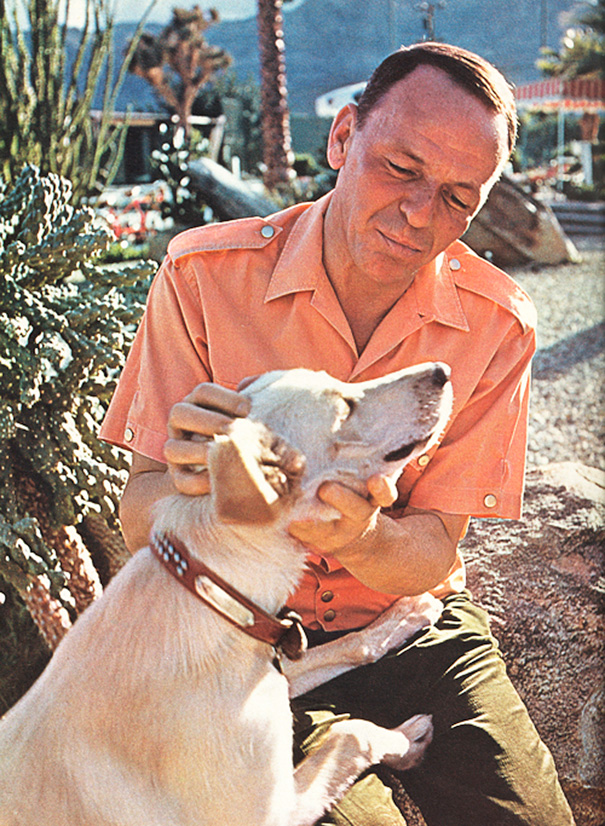 Cats And Dogs With Their Famous Humans
