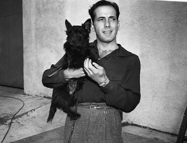 Cats And Dogs With Their Famous Humans
